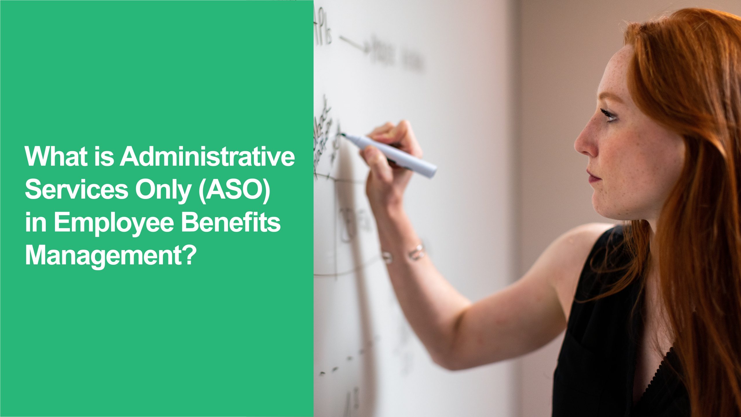 Administrative Services Only (ASO)