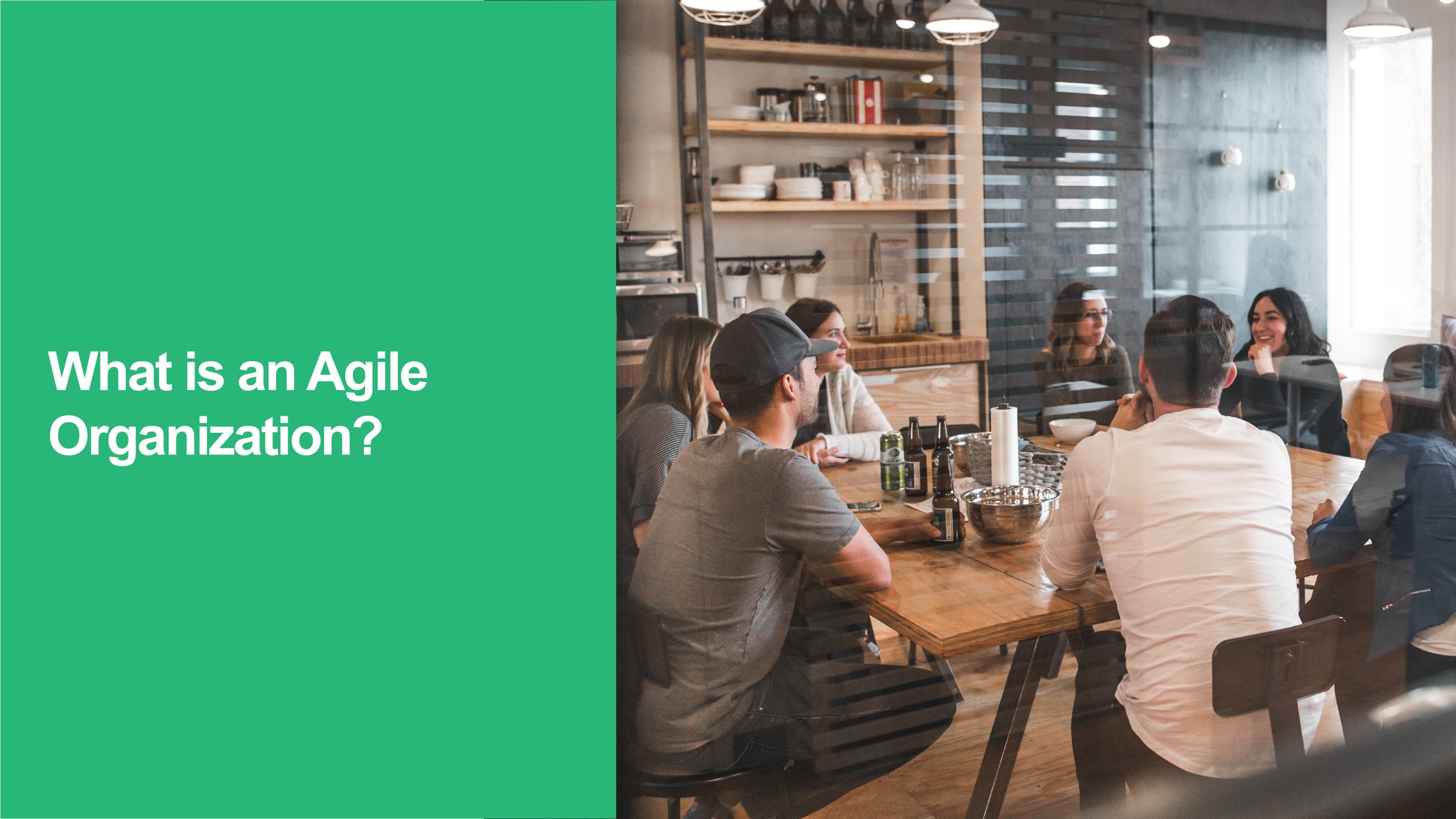 Agile Organization