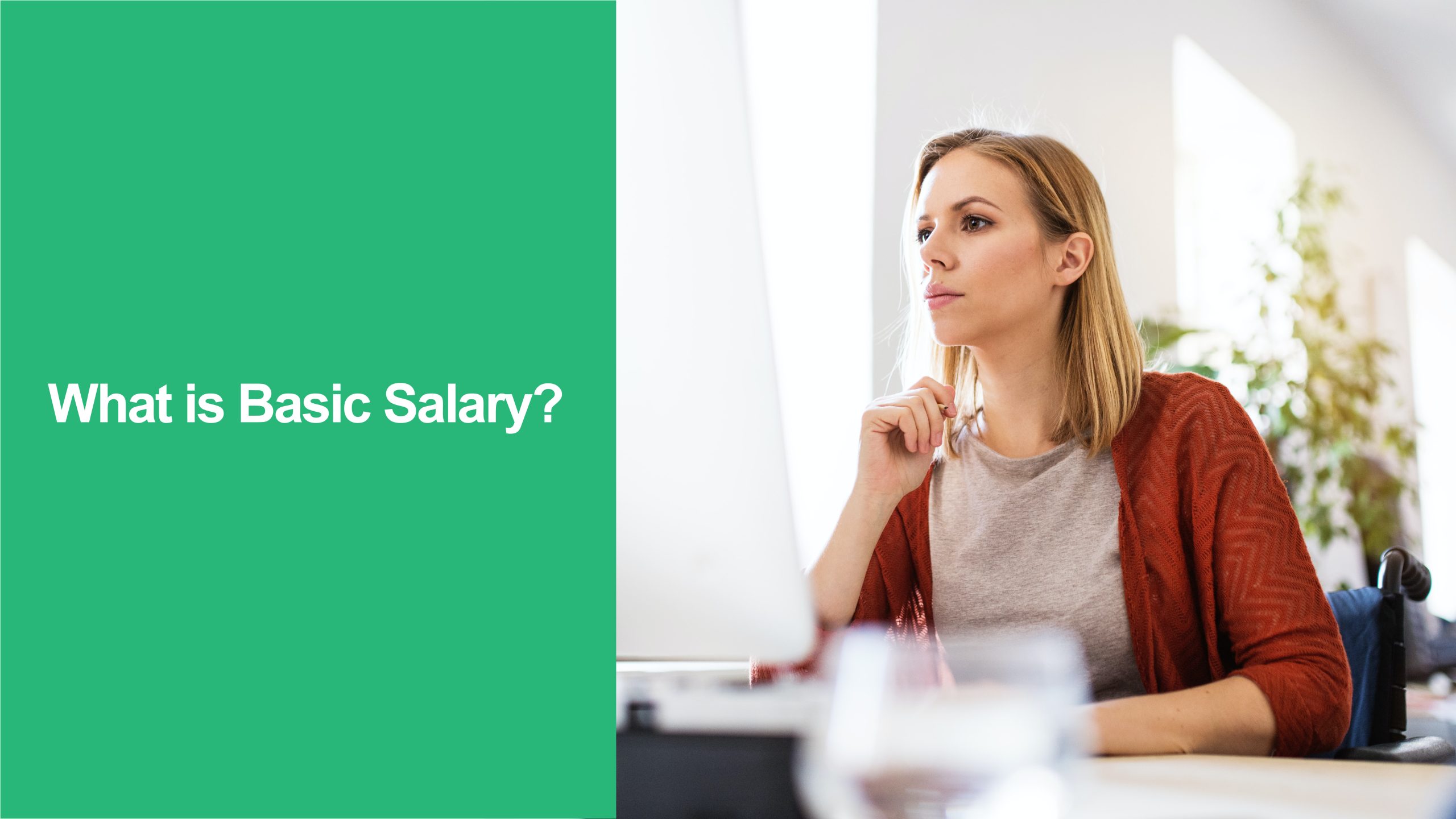 Basic Salary