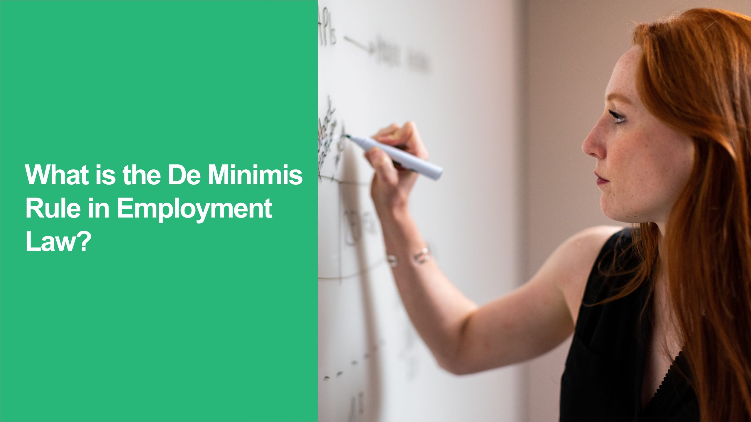 132 What is the De Minimis Rule in Employment Law De Minimis Rule