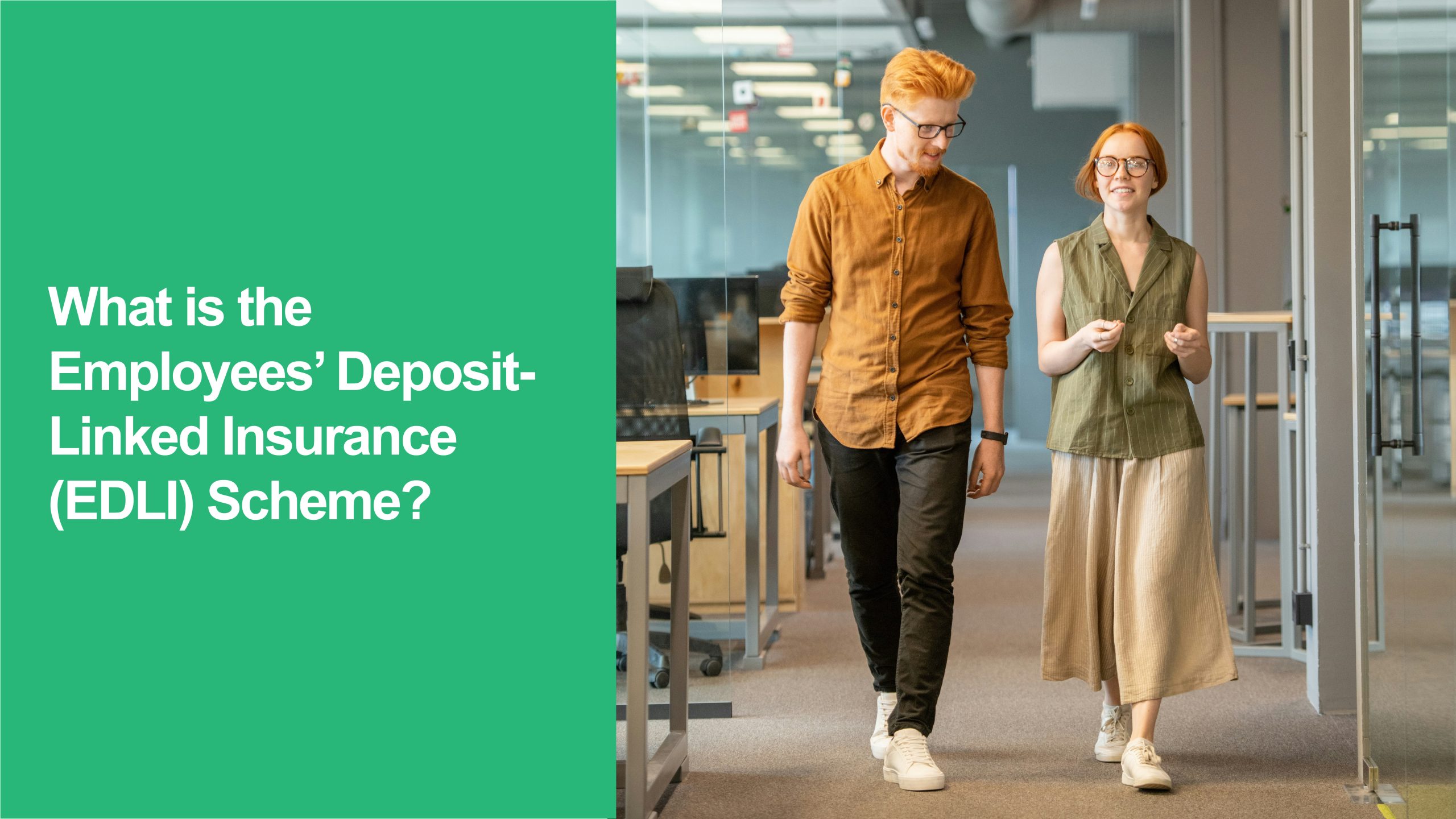 165 What is the Employees’ Deposit-Linked Insurance (EDLI) Scheme EDLI