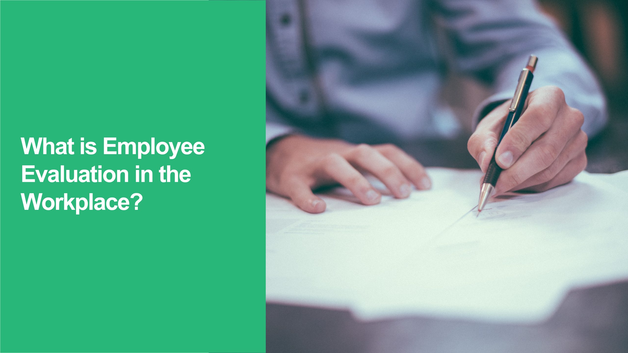 Employee Evaluation