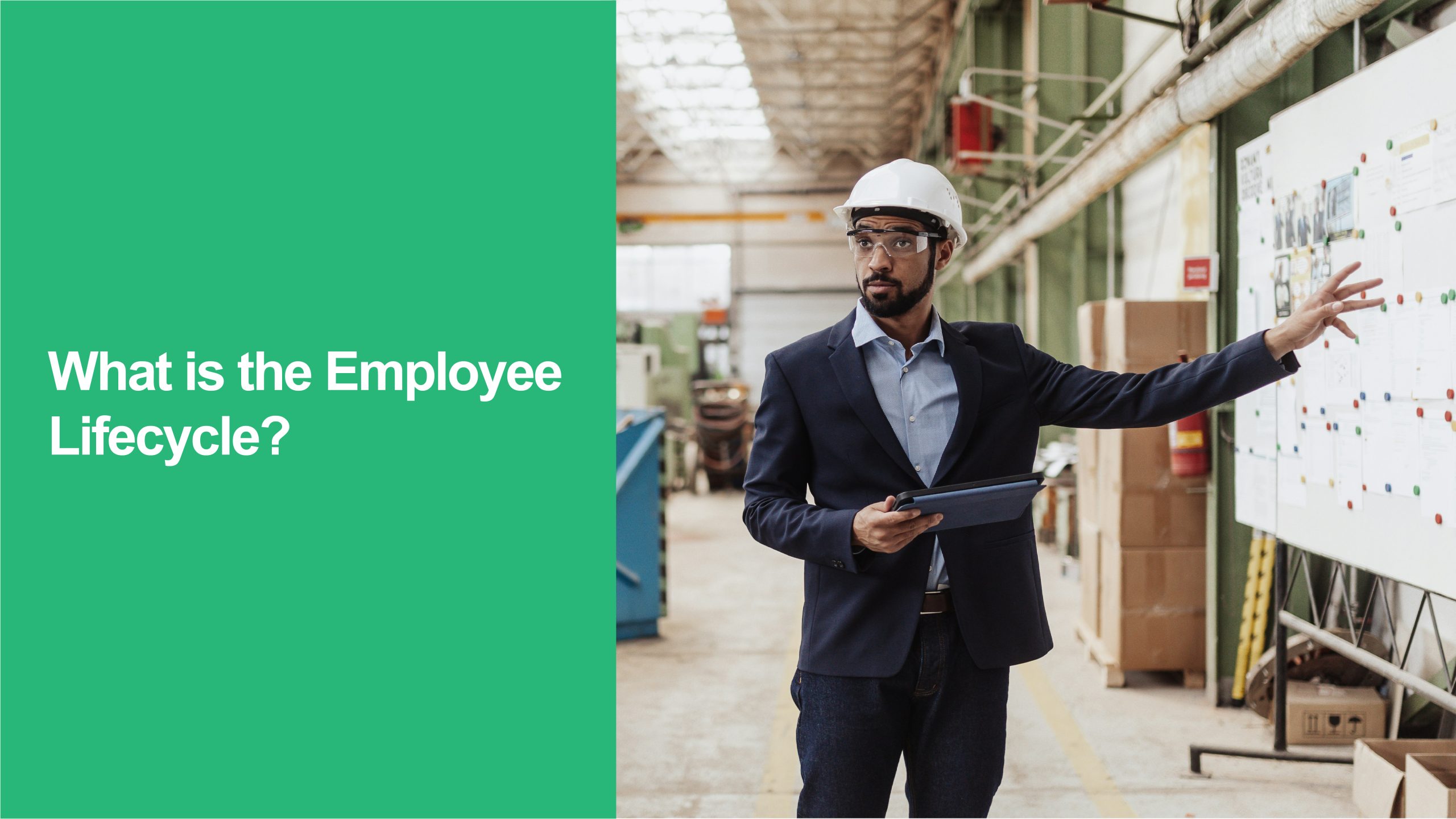 Employee Lifecycle