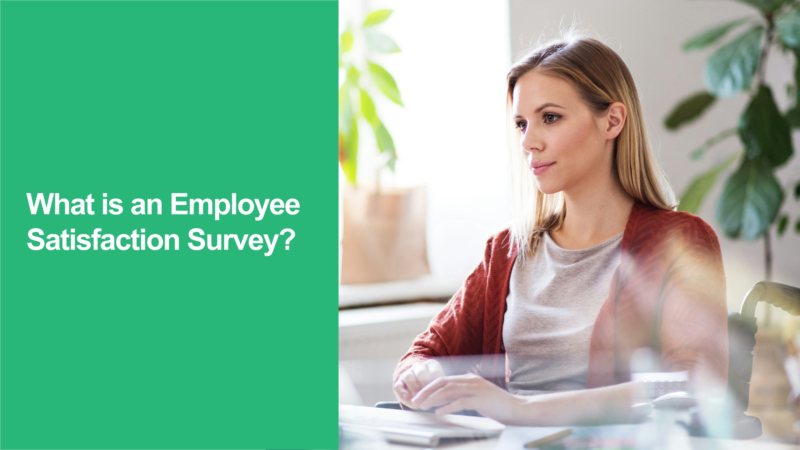 Employee Satisfaction Survey