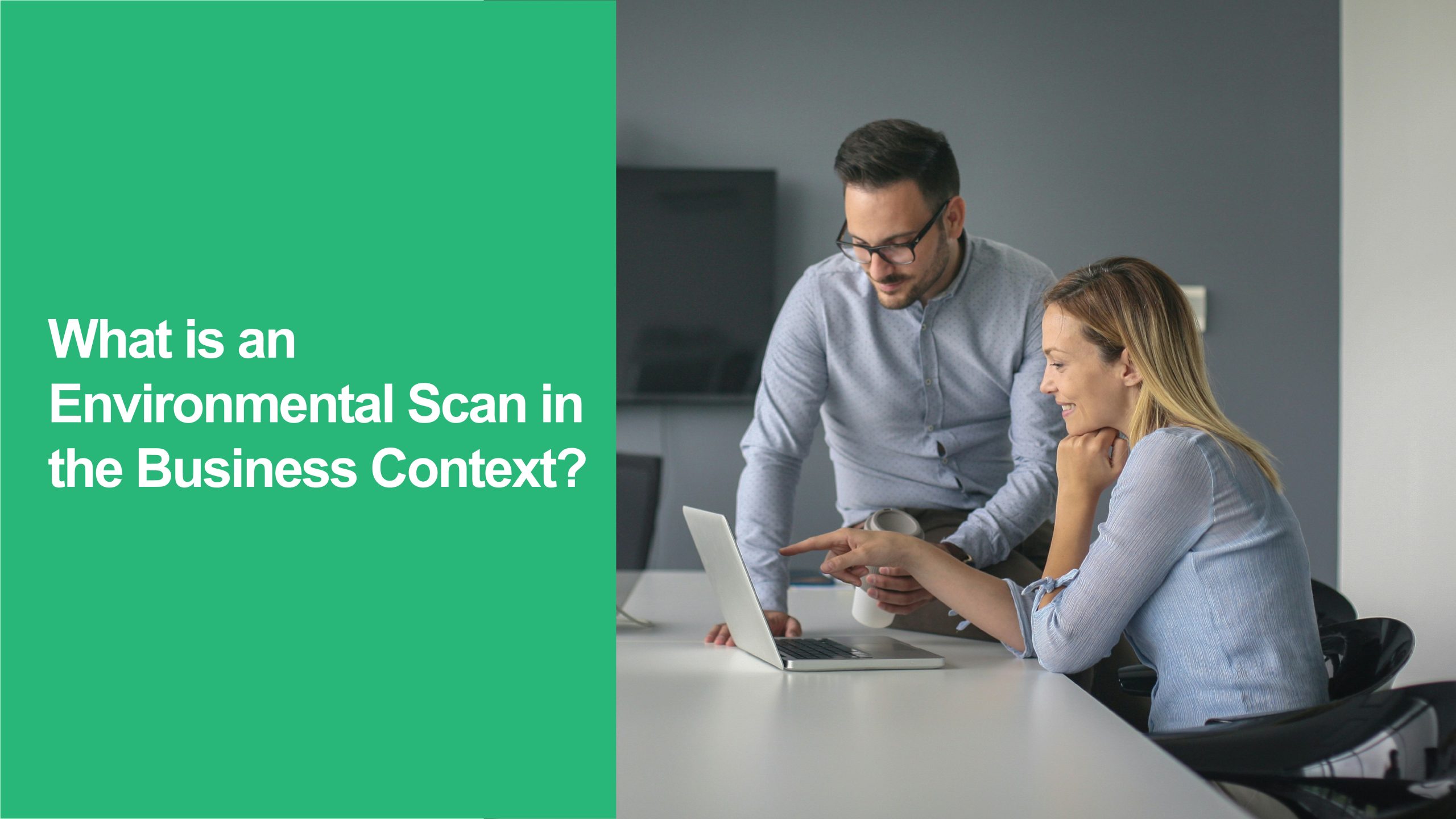 220 What is an Environmental Scan in the Business Context Environmental Scan