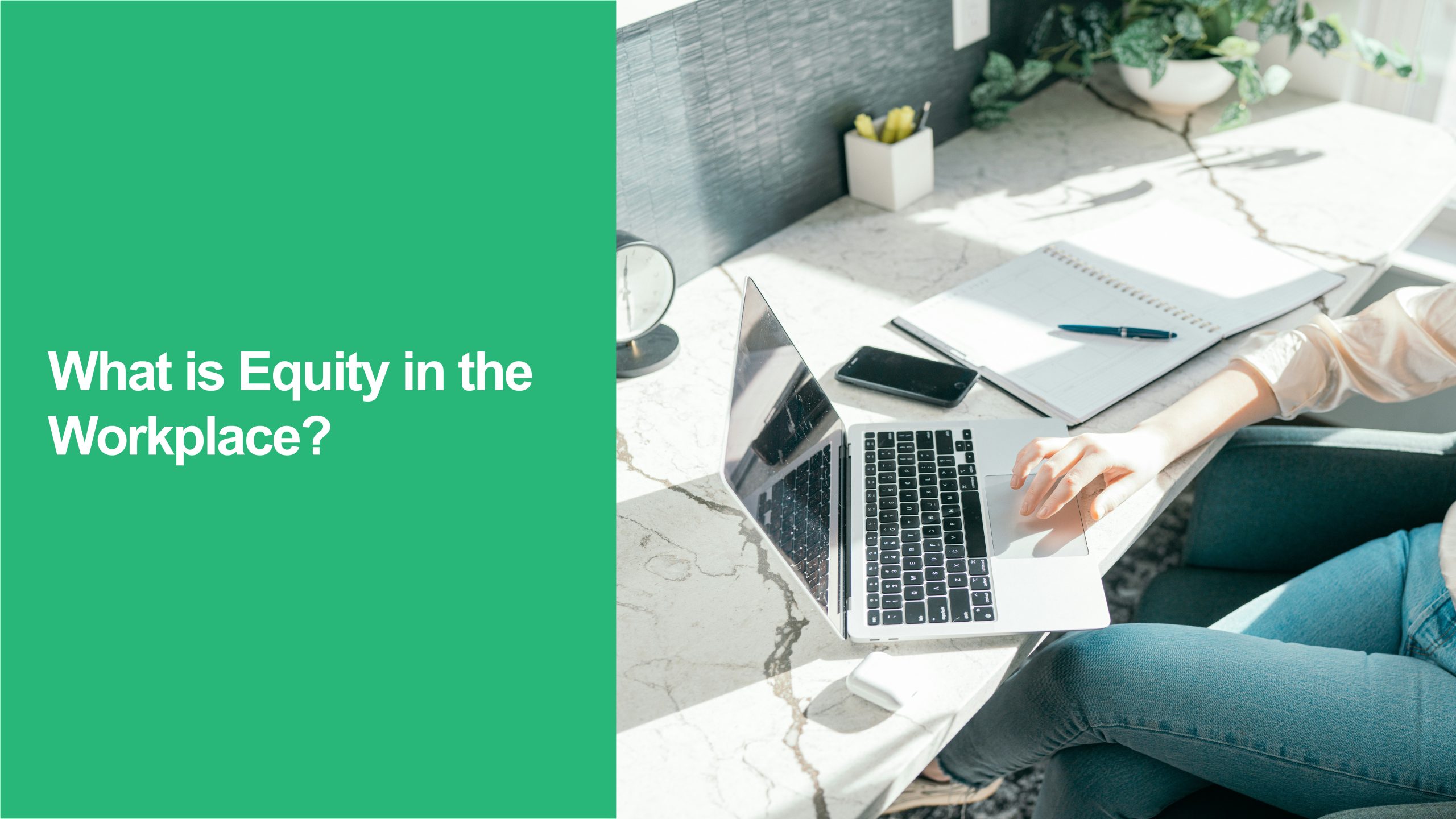 223 What is Equity in the Workplace Equity