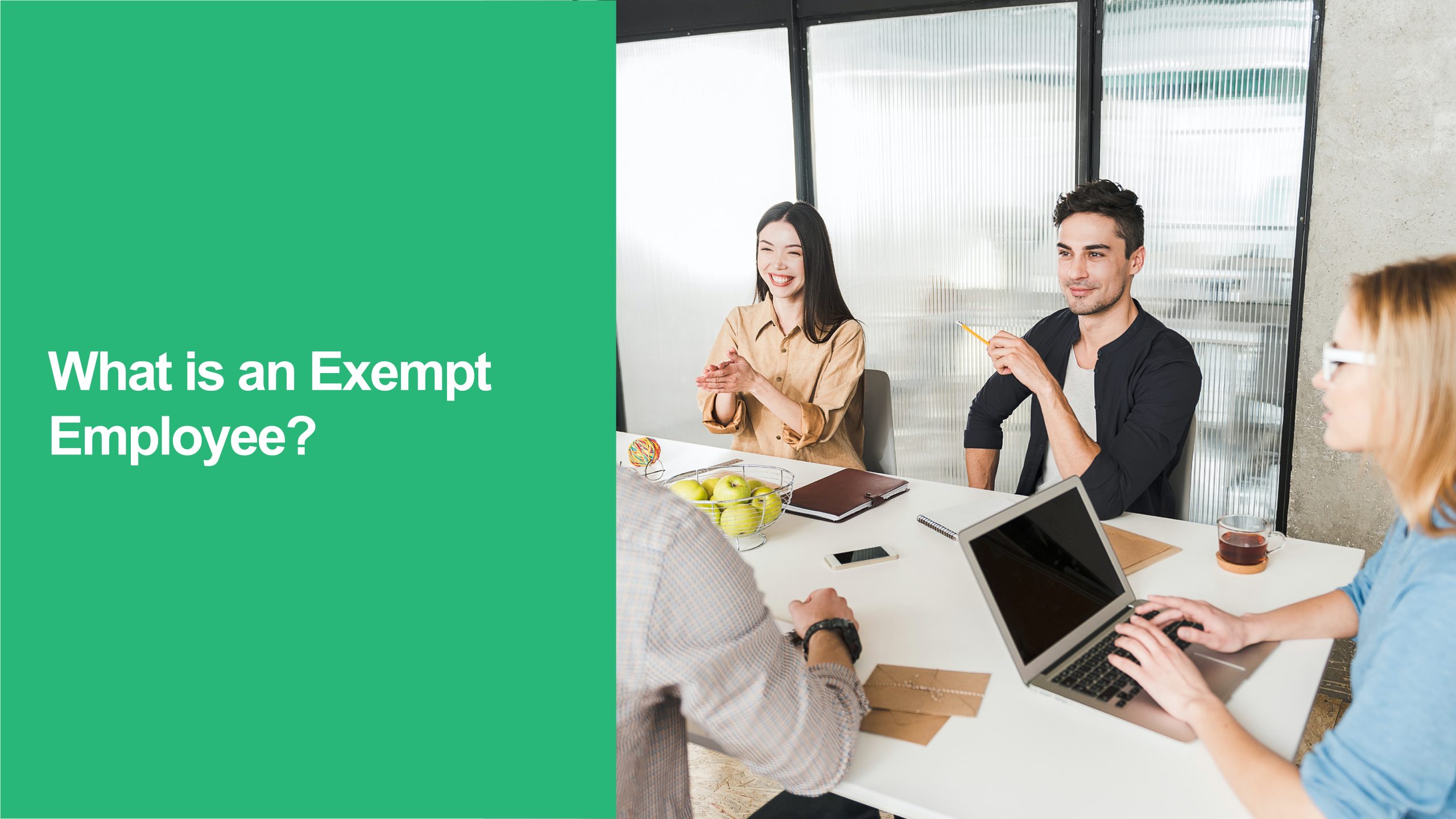 231 What is an Exempt Employee Exempt Employee