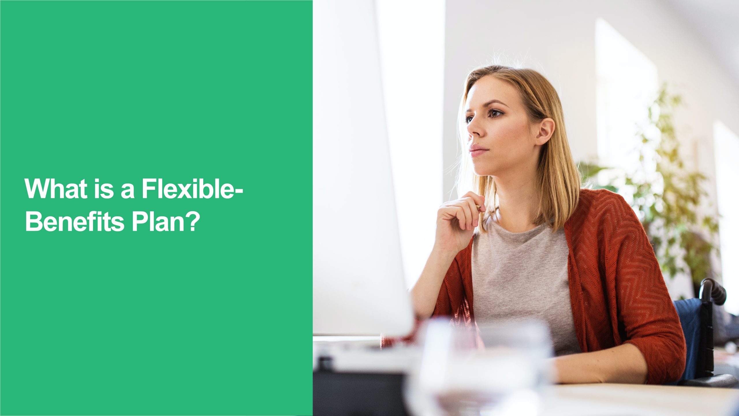 Flexible-Benefits Plan