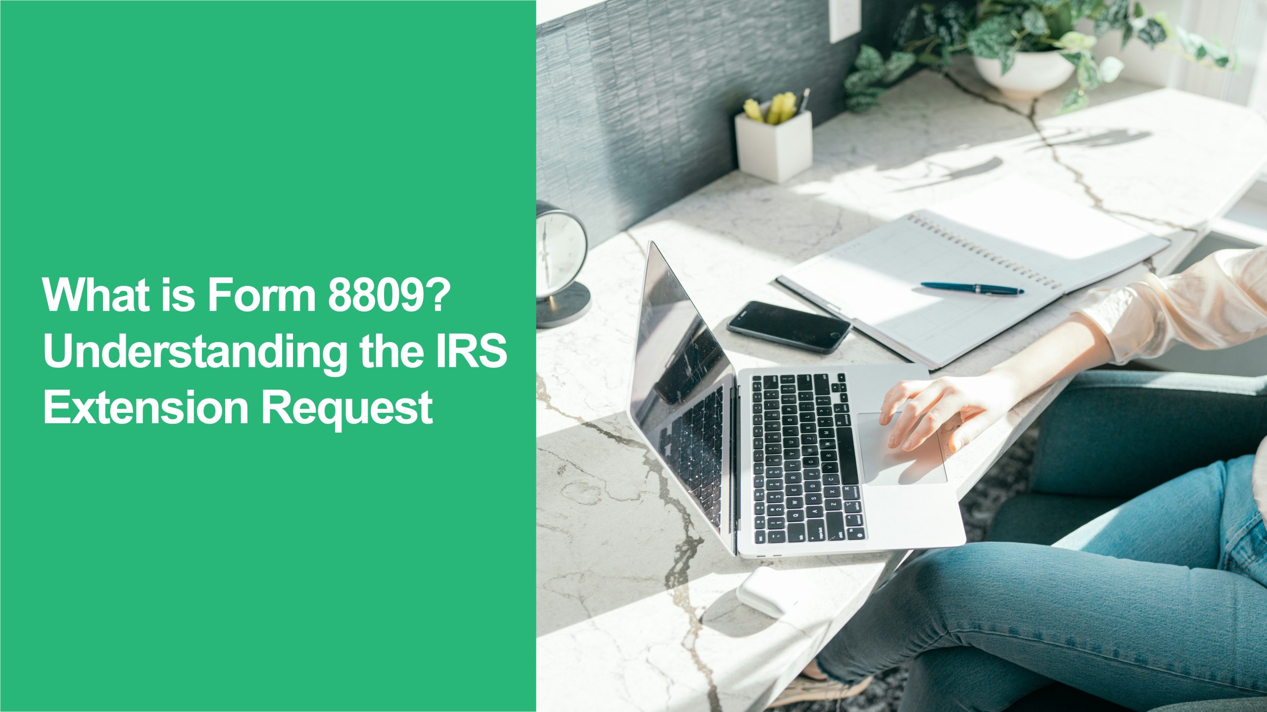 Form 8809