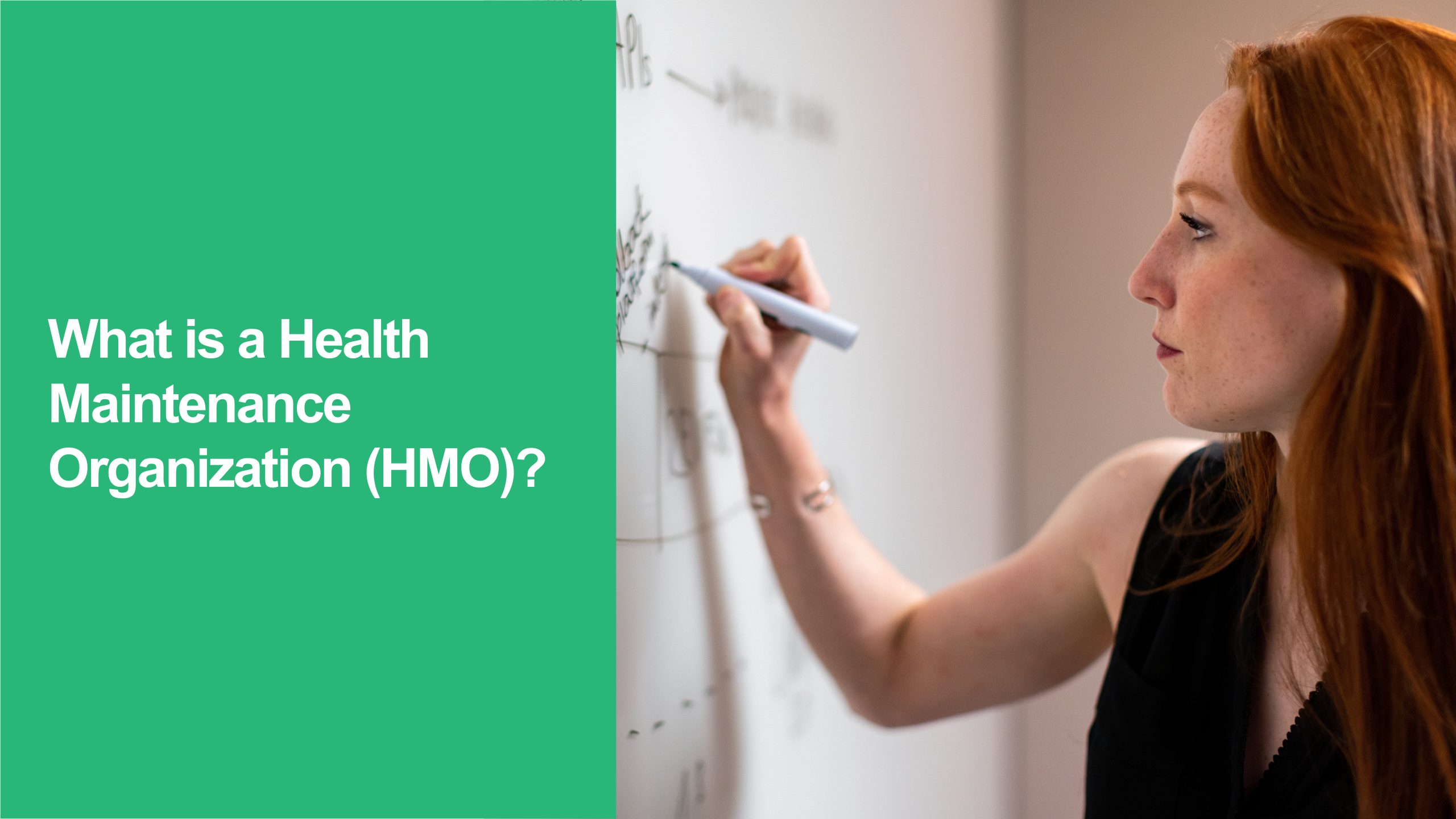 327 What is a Health Maintenance Organization (HMO) Health Maintenance Organization (HMO)