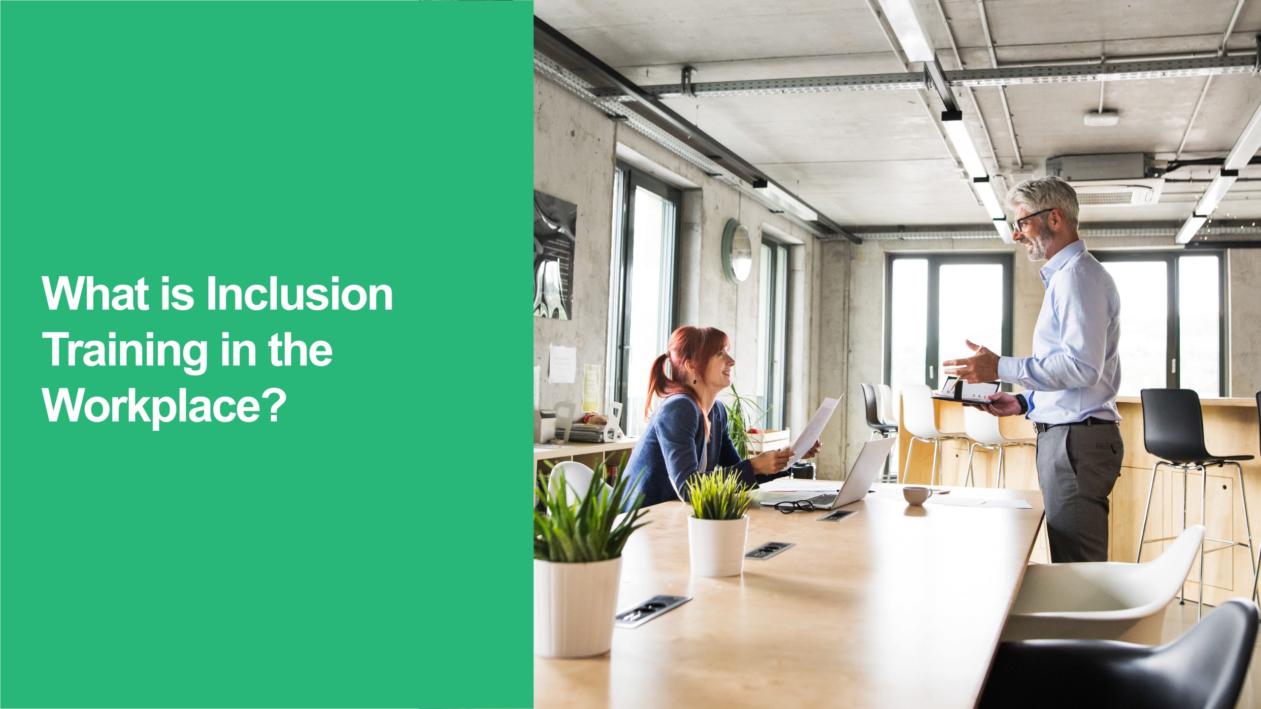 Inclusion Training