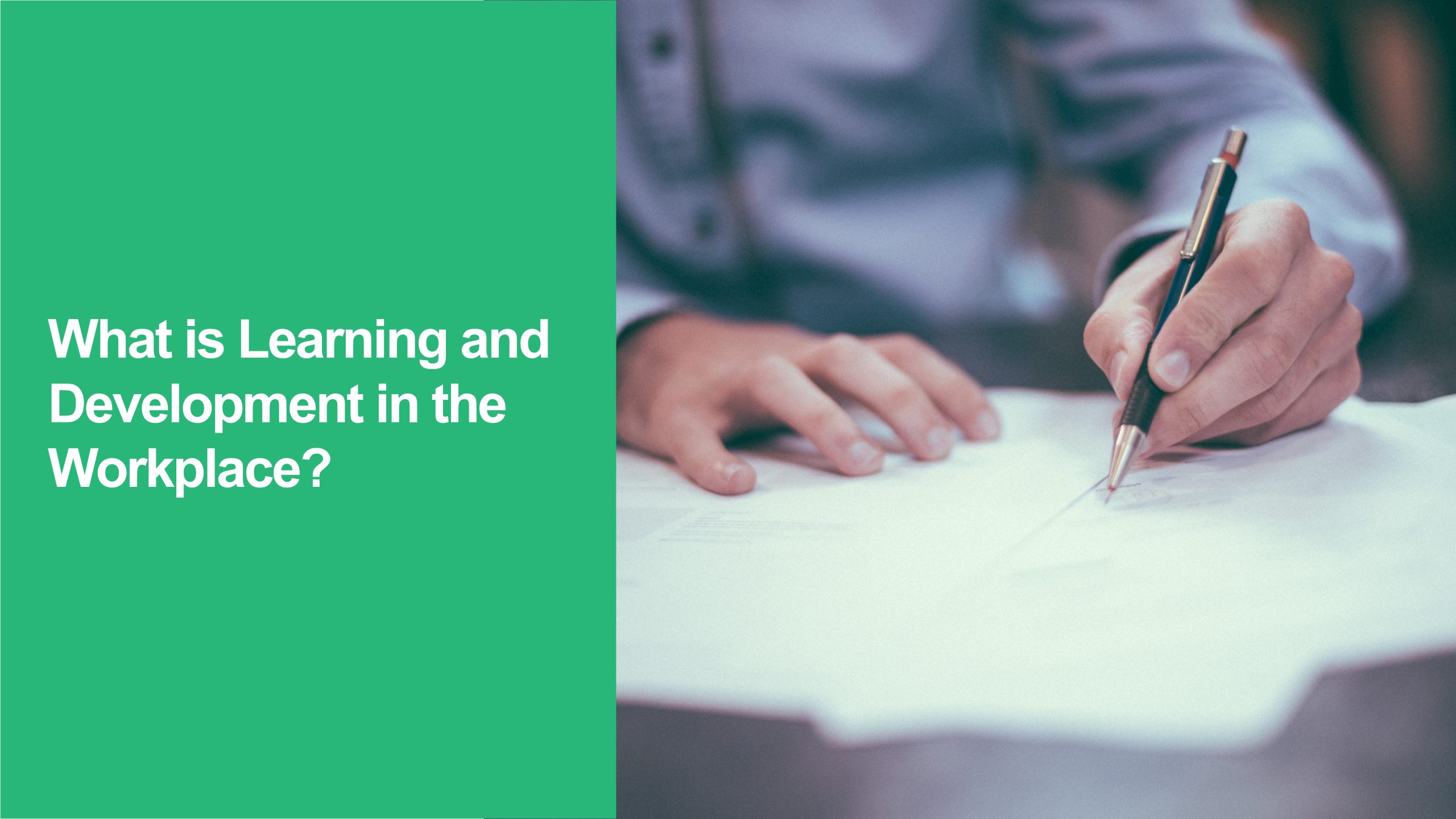 401 What is Learning and Development in the Workplace Learning And Development
