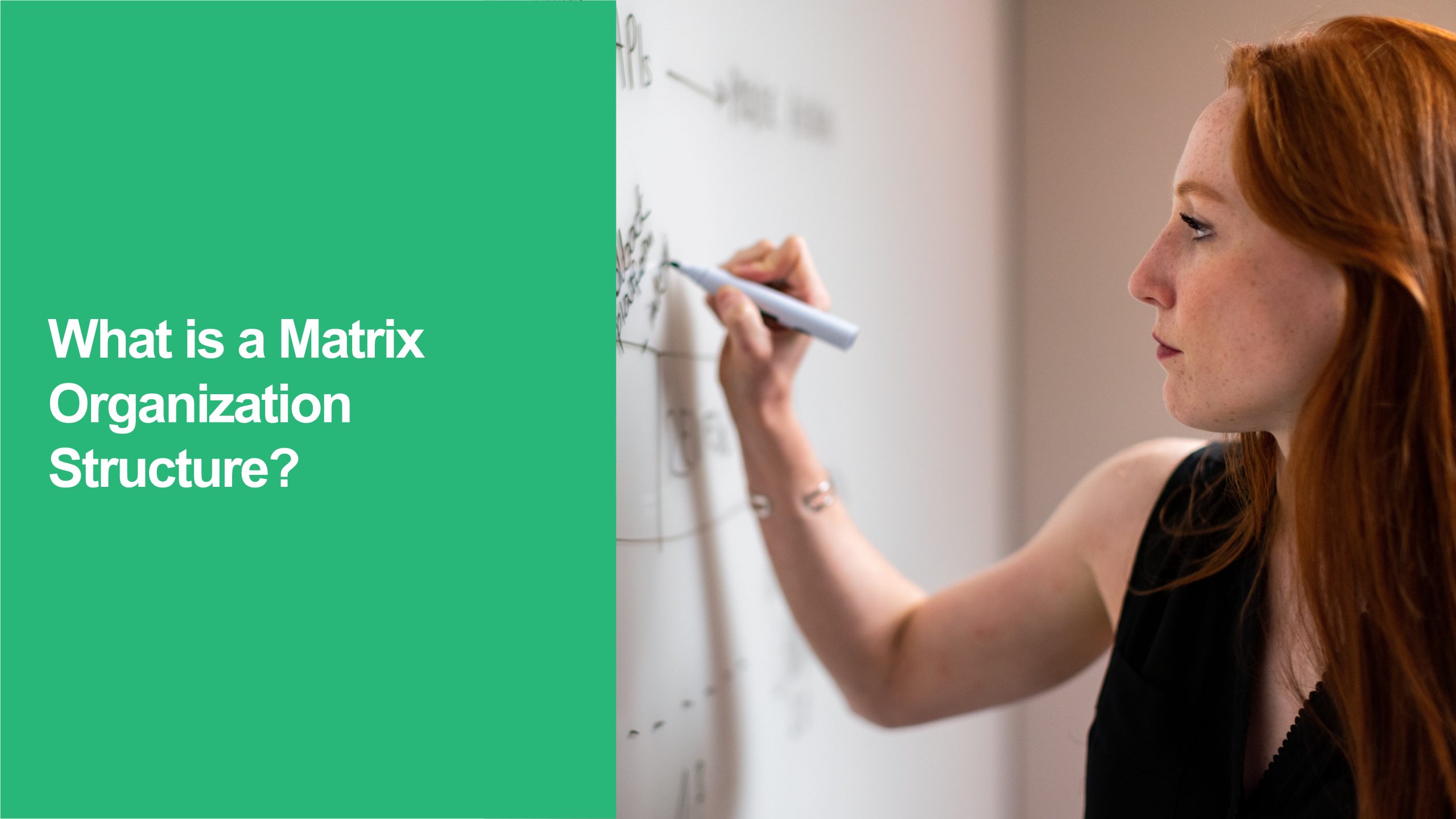 Matrix Organization