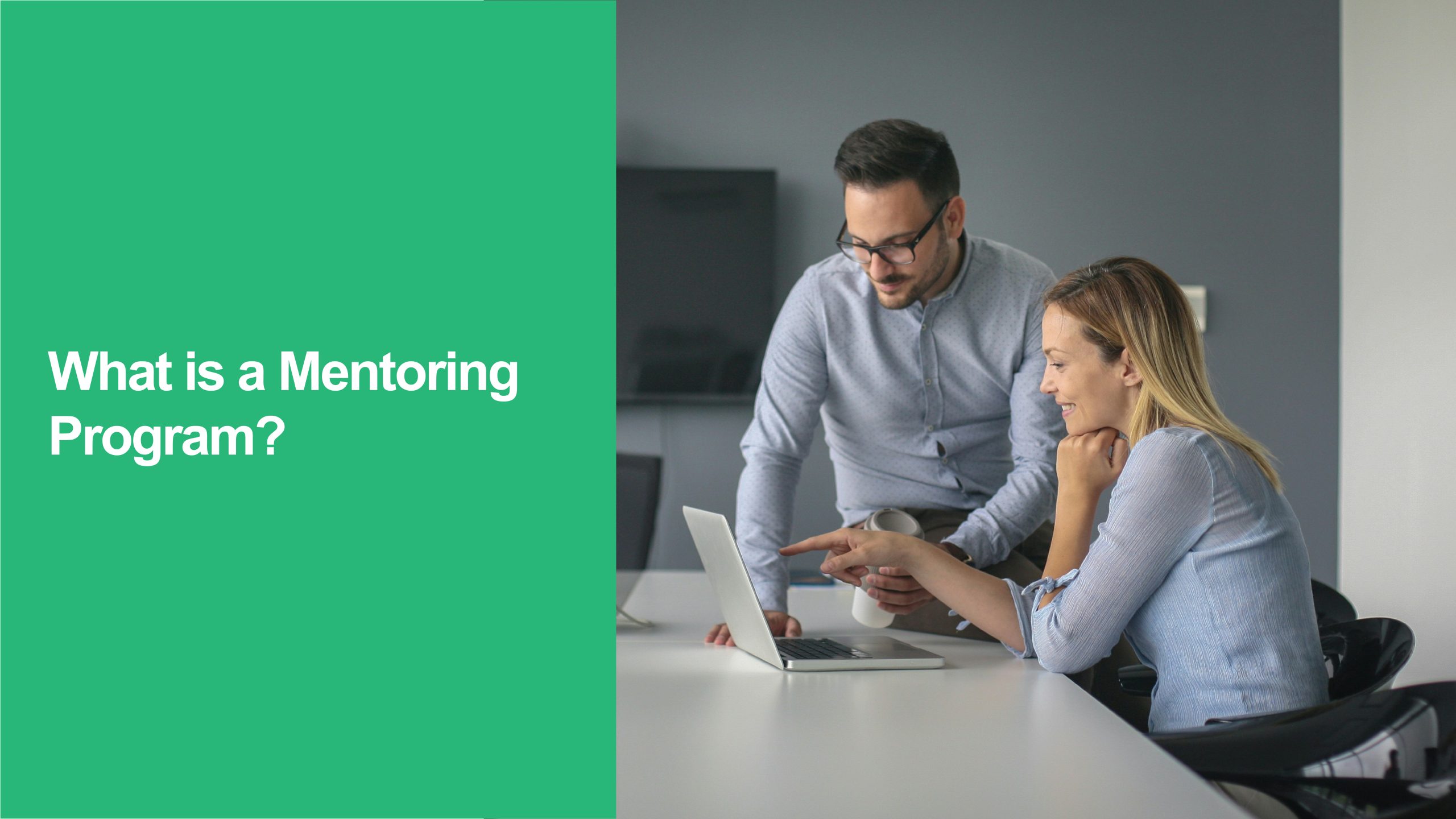 Mentoring Program