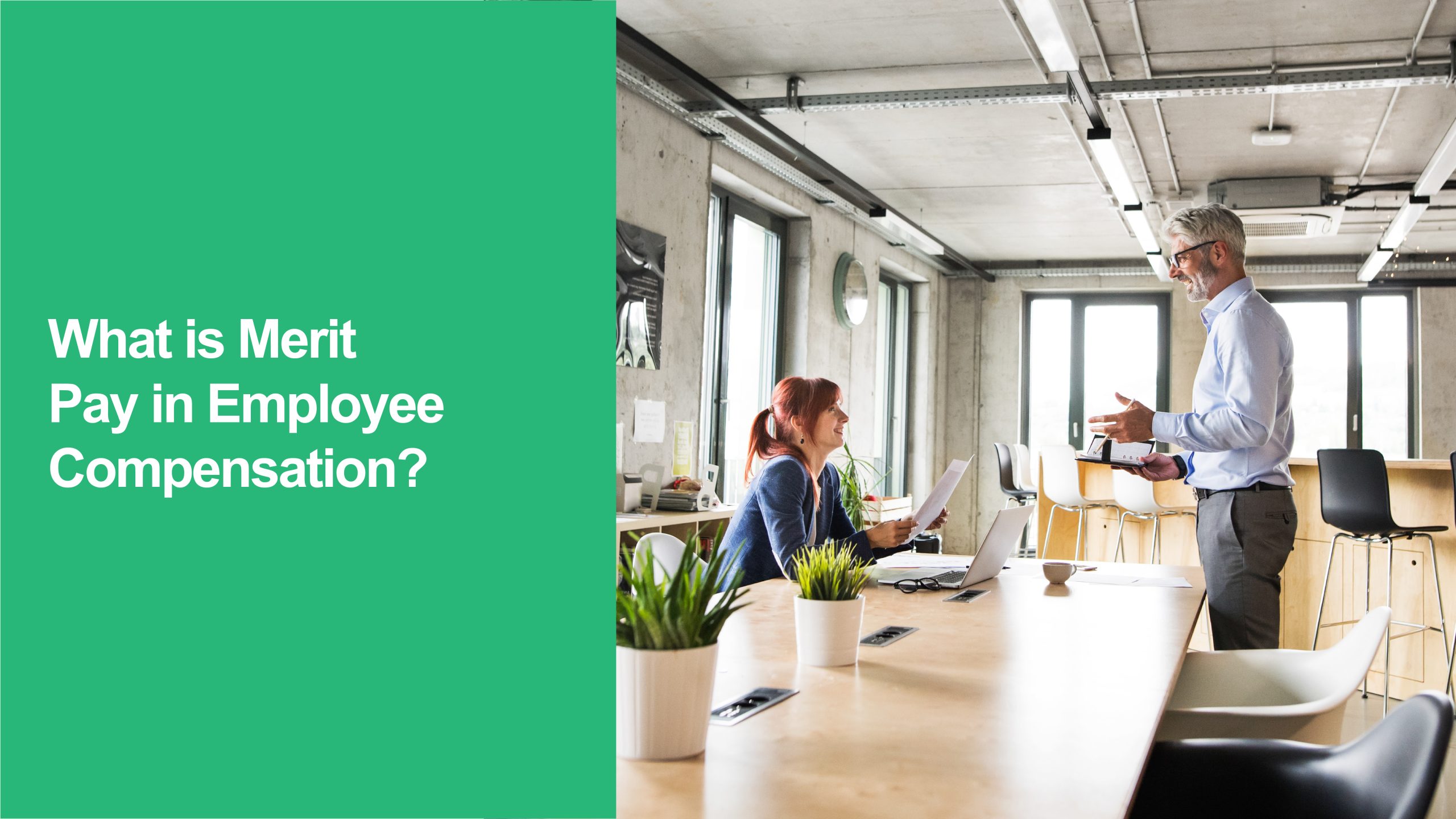 414 What is Merit Pay in Employee Compensation Merit Pay